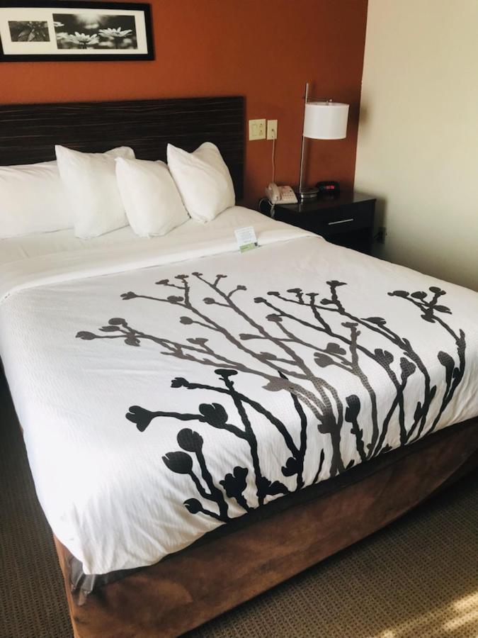 Sleep Inn North Charleston Ashley Phosphate Экстерьер фото